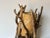 Vintage Monumental Organic Driftwood Table Lamp For Sale - Image 10 of 13