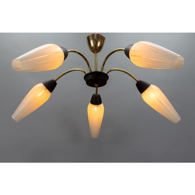 Mid-Century Modern Mid-Century Modern German Sputnik Chandelier, 1950s For Sale - Image 3 of 18