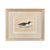 19th Century English Bird Engravings by Alexander Francis Lydon, Set 12 For Sale - Image 10 of 18