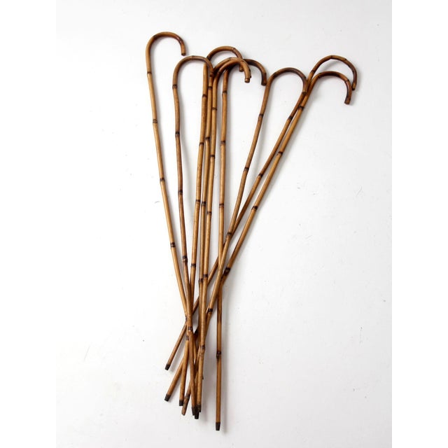 Antique Bamboo Walking Canes Collection For Sale - Image 12 of 14
