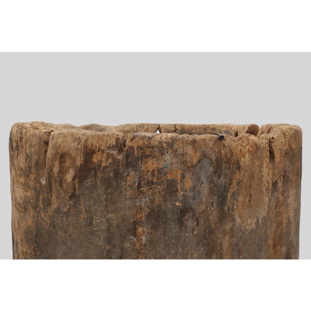 Brutalist 19th Century French Primitive Hollowed Oak Tree Trunk Planter For Sale - Image 3 of 11