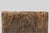 Brutalist 19th Century French Primitive Hollowed Oak Tree Trunk Planter For Sale - Image 3 of 11