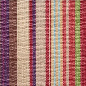 Schumacher Nevado Fabric in Multi