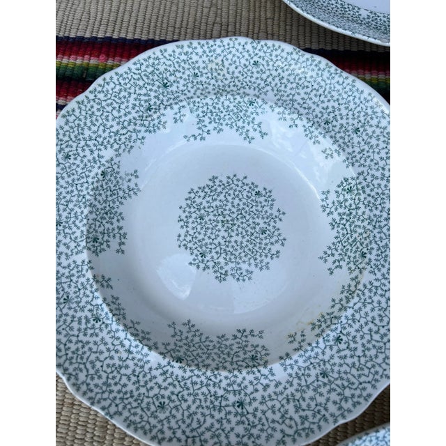 Circa 1830s Green Transferware Staffordshire Soup Plates, "Fibre" Pattern- Set of 7 For Sale - Image 4 of 12
