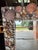 1990s American Handcrafted Seashell Encrusted Wall Mirror For Sale - Image 5 of 12