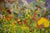 The Flower Garden by Charles David Francis For Sale - Image 4 of 5