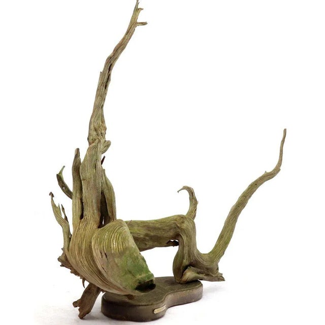 Midcentury abstract natural driftwood fish forming sculpture.