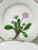 Flora Danica Porcelain Bread and Butter Plates by Bing & Grøndahl, Denmark, 1927, Set of 5 For Sale - Image 3 of 14