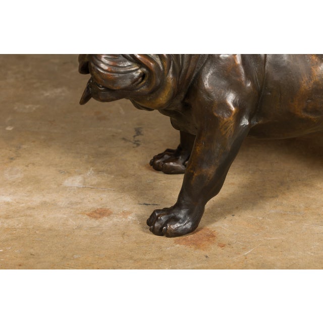 Vintage American Art Life-Size Bronze Bulldog Sculpture For Sale - Image 10 of 10
