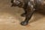 Vintage American Art Life-Size Bronze Bulldog Sculpture For Sale - Image 10 of 10