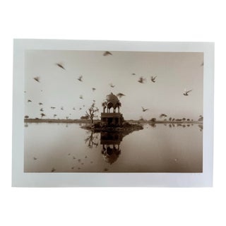 Waswo X. Waswo Signed Sepia Toned Silver Gelatin Photograph “A Flight of Birds Jaisalmer” For Sale