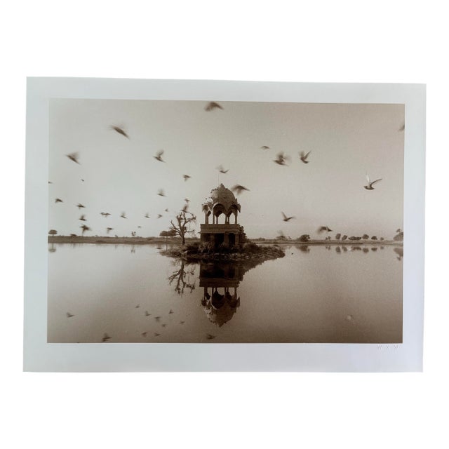 Waswo X. Waswo Signed Sepia Toned Silver Gelatin Photograph “A Flight of Birds Jaisalmer” For Sale