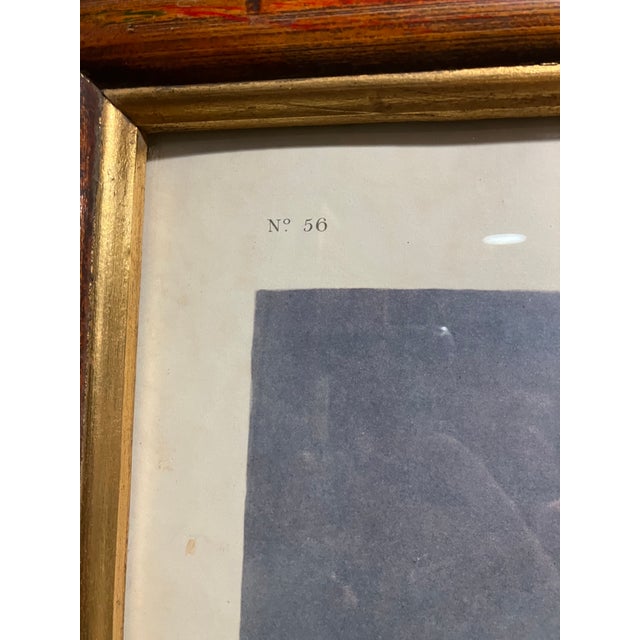 Mid 19th Century Second Edition John James Audubon Print King Duck, Plate CCLXXVI For Sale - Image 10 of 12