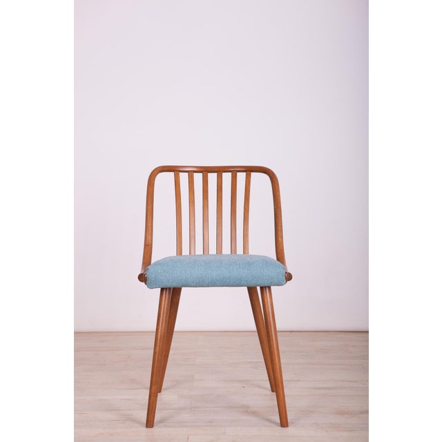 1960s Dining Chairs attributed to Antonin Suman for Ton, 1960s, Set of 4 For Sale - Image 5 of 15