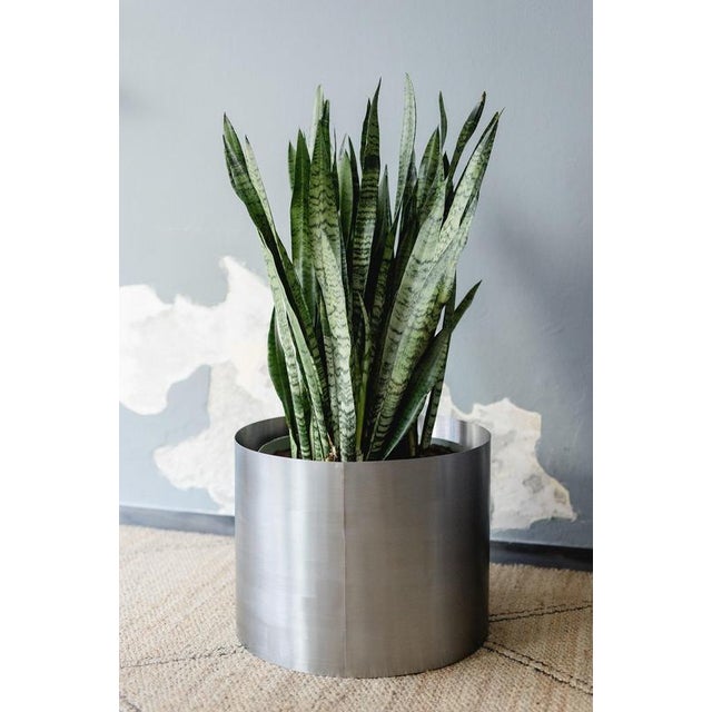 Large Loto Planter in Stainless Steel by Form & Eisen For Sale - Image 12 of 18