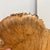 Reclaimed Live Edge Wood Sculpture + Stone Base For Sale - Image 9 of 12