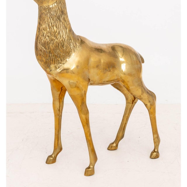 Pair of Stag and Doe Large Brass Sculptures For Sale - Image 9 of 11