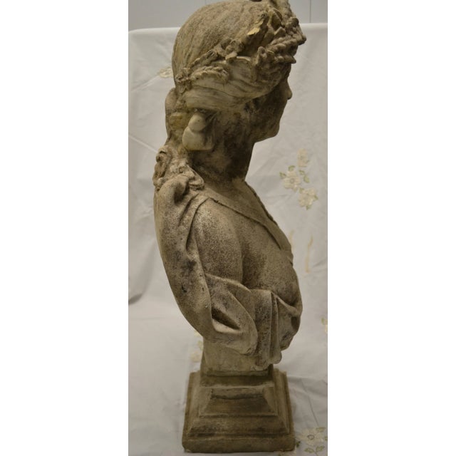 Stone 19th Century Stone Bust on Pedestal For Sale - Image 7 of 9