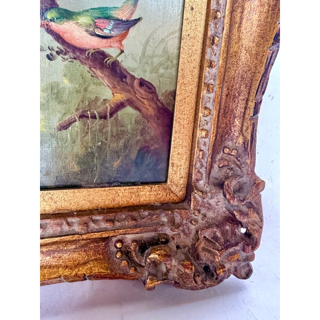 Signed Vintage Wild-Bird Oil Painting by Jeanine Albert For Sale - Image 10 of 13