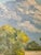 1964 Mid-Century Modern Desert Landscape Oil Paintings - a Pair For Sale - Image 11 of 12