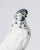 Contemporary Limited Edition English Long Faced Tumbler Pigeon Print by Brendan Burden (40x50") For Sale
