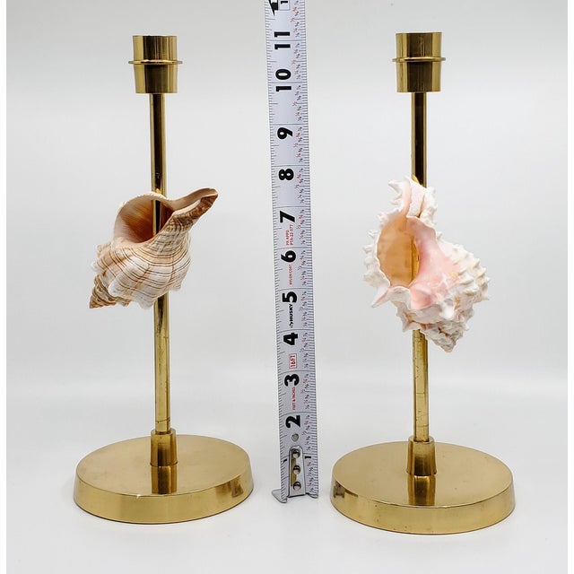 Christa's South Seashells Brass Candlesticks Shells Seashells For Sale - Image 4 of 15
