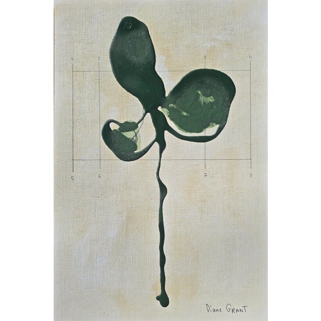 Contemporary Set of 4 - Contemporary Dark Green Botanical Organic Modern Original Oil Paintings / Herbarium / Floral / Earth Tones For Sale - Image 3 of 8