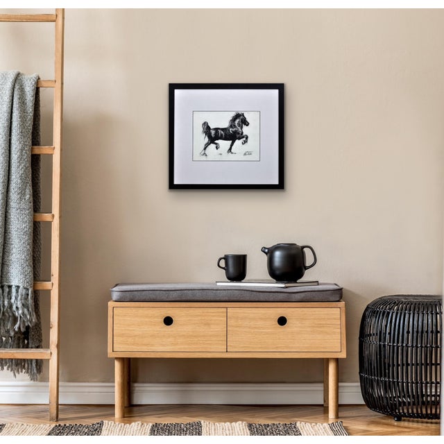 Elin Sian Blake, Black Welsh Cob, Charcoal on Paper For Sale - Image 12 of 18