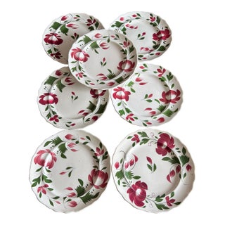 A Very Nice Set of 7 of Antique Staffordshire Early Adam’s Rose Plates, Circa 1830 For Sale