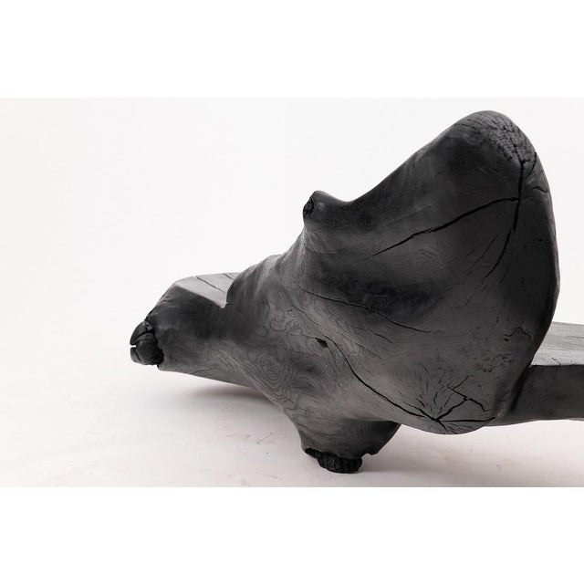 Sculptural Charred Wood Bench by Logniture For Sale - Image 14 of 18