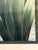 Pair of Art Deco Zebra Watercolor Gouaches by Shirrell Graves in Verde Frames For Sale - Image 13 of 16