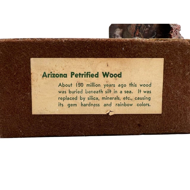 1950s Arizona Petrified Wood Bookends For Sale In West Palm - Image 6 of 6