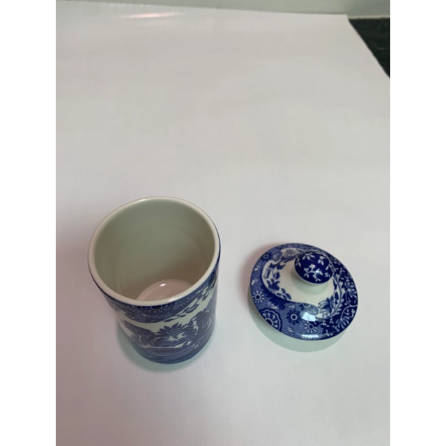 1990s 1990s Spode Basil Spice Jar For Sale - Image 5 of 6