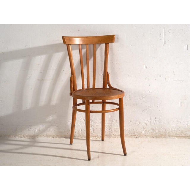 Chairs in Bentwood, Central Europe, 1930, Set of 2 For Sale - Image 11 of 13