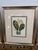 Early 21st Century Yellow Botanical Art Prints, Set of Three For Sale - Image 5 of 12