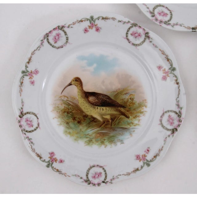 Set of three Bavarian pheasant plates with beautiful rose and wreath border, marked Mignon Z S & Co. Bavaria. Slight wear...