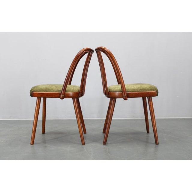 Mid-Century Modern Beech Dining Chairs, 1960s, Set of 4 For Sale - Image 4 of 17