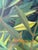 1970s 1979 Surrealist Botanical Landscape Oil Painting For Sale - Image 5 of 6