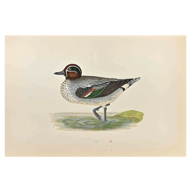 Alexander Francis Lydon, Teal, Woodcut Print, 1870 For Sale