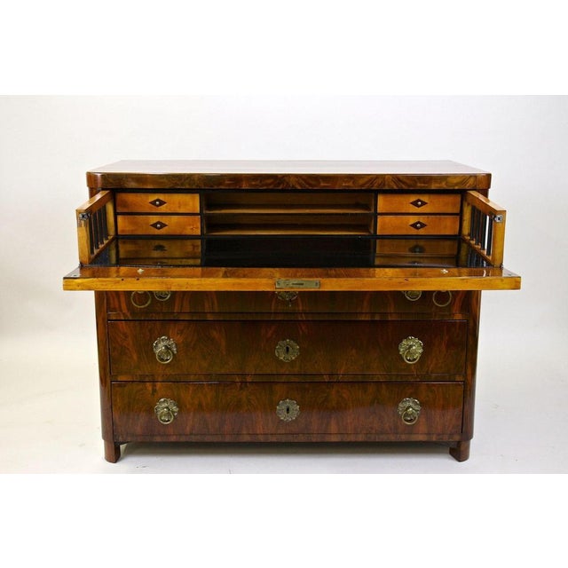 19th Century Biedermeier Chest of Drawers, Austria, 1830s For Sale - Image 6 of 18