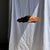 Brutalist Large Flat Wavy Leaf-Shaped Teak Pendant Light with Floral Stripes, 1980s For Sale - Image 3 of 11