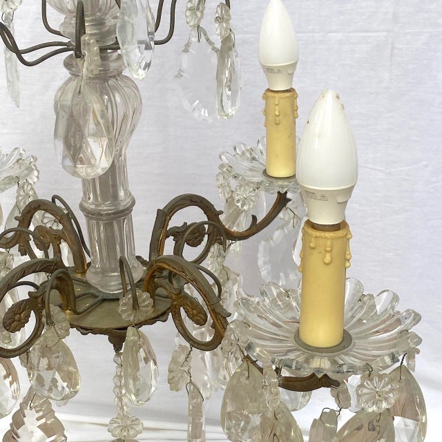 Antique Bohemian Crystal Chandelier, 1890s For Sale - Image 6 of 11