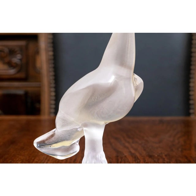 Marvelous French, Lalique frosted crystal seagull (official name is Chloe-Seagull). Presented with its head and neck up...