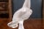 Marvelous French, Lalique frosted crystal seagull (official name is Chloe-Seagull). Presented with its head and neck up...