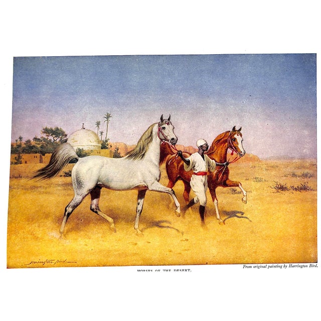 1940s "The Horse of the Desert" 1948 Brown, William Robinson For Sale - Image 5 of 6