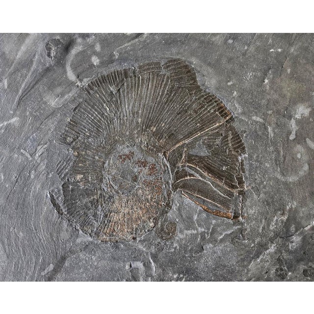 Vintage Side Table in Fossil Stone, 1995 For Sale - Image 3 of 16