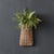 Kenneth Ludwig Chicago Woven Willow Wall Basket (Set of 6) For Sale - Image 4 of 4