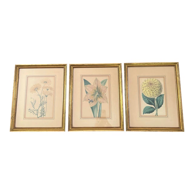 Late 19th Century Set of 3 Original Prints Attributed to Walter Hood Fitch, Framed For Sale