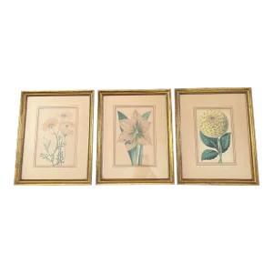 Late 19th Century Set of 3 Original Prints Attributed to Walter Hood Fitch, Framed