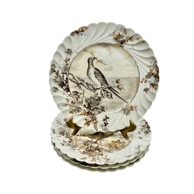 Ceramic Antique Haviland & Co. Limoges Game Bird Plates - Set of 4 For Sale - Image 7 of 13